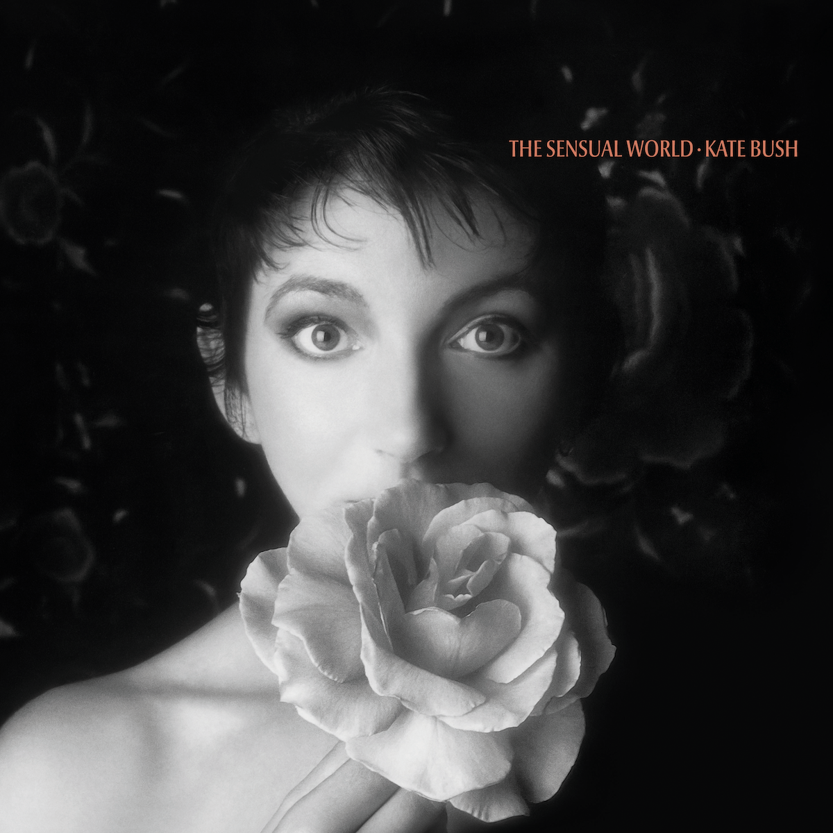 Kate Bush / The Sensual World coloured vinyl LP